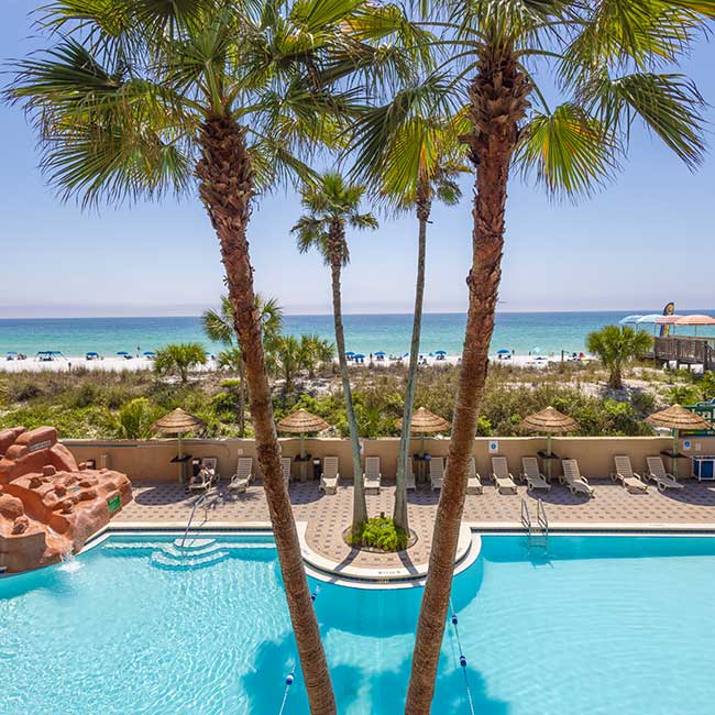 Palm trees by a hotel pool at a beachfront resort, overlooking the sandy beach and ocean.
